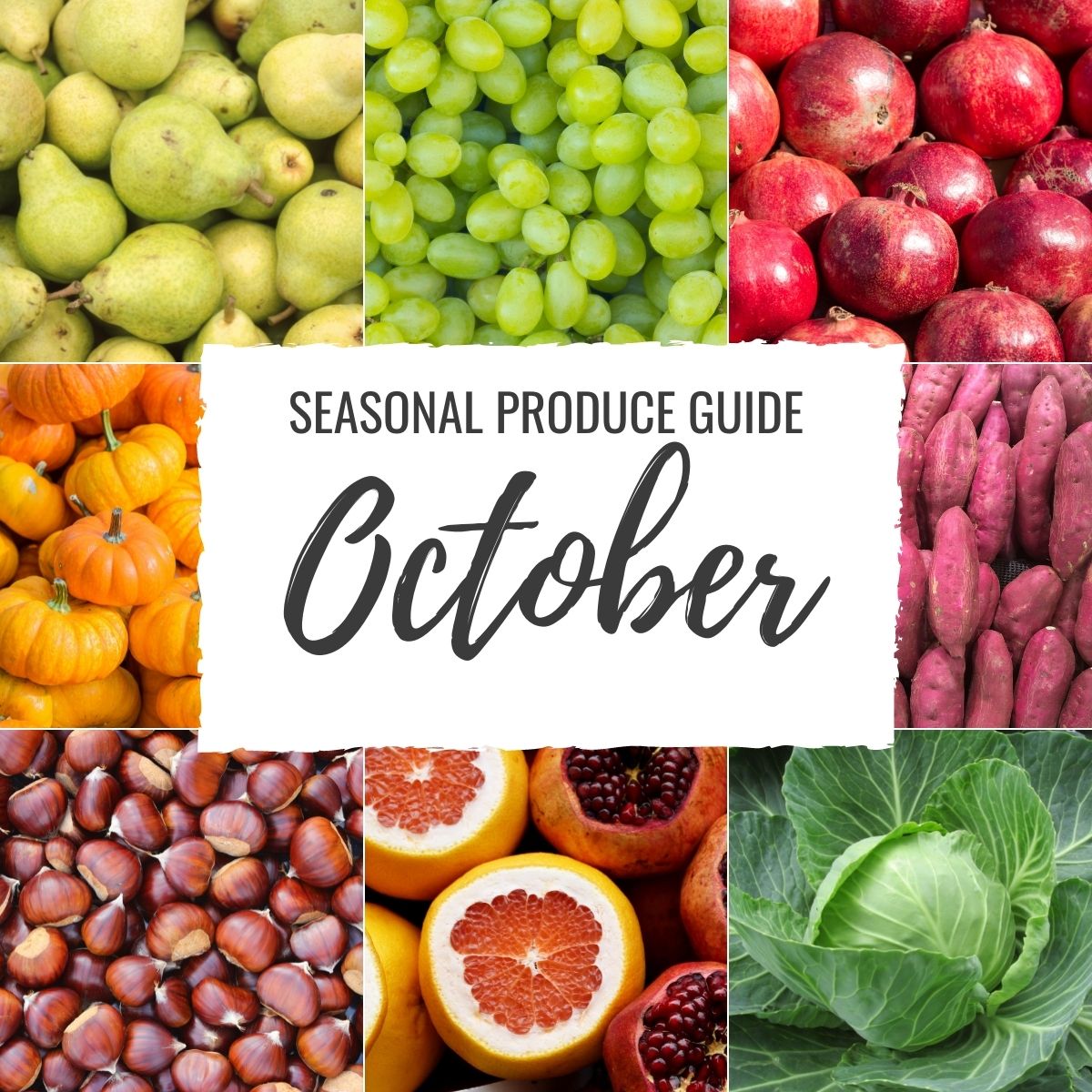 What's In Season October: Your Guide to Fall Fruits & Veggies